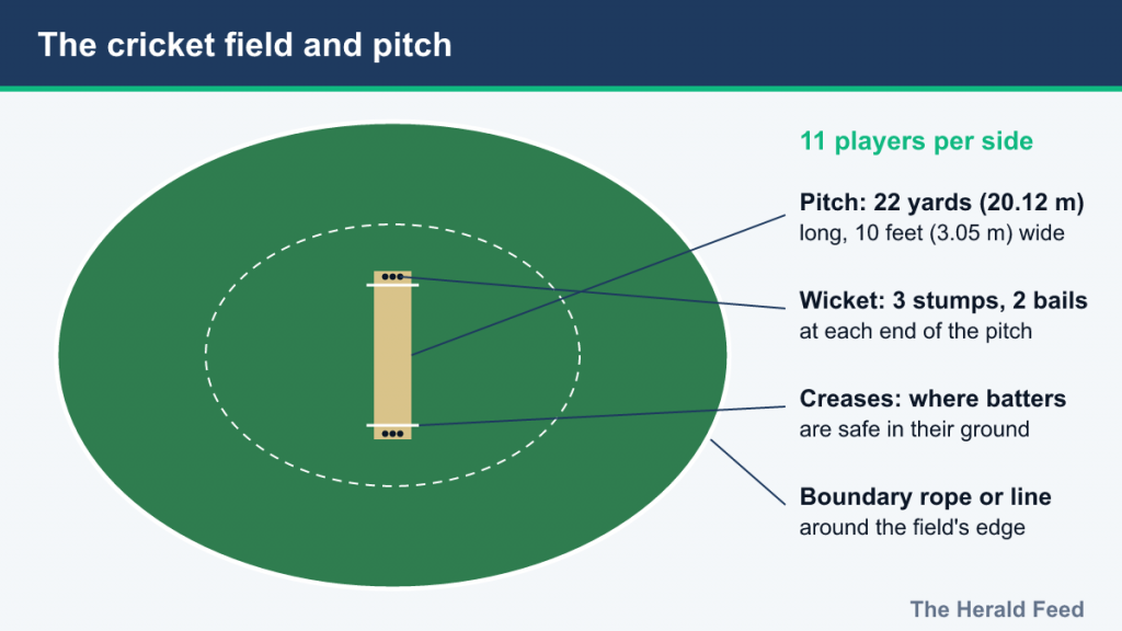 Diagram of a cricket field with the 22-yard pitch, wickets, creases and boundary